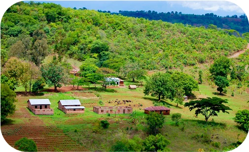 Sustainable Island & Remote Developments